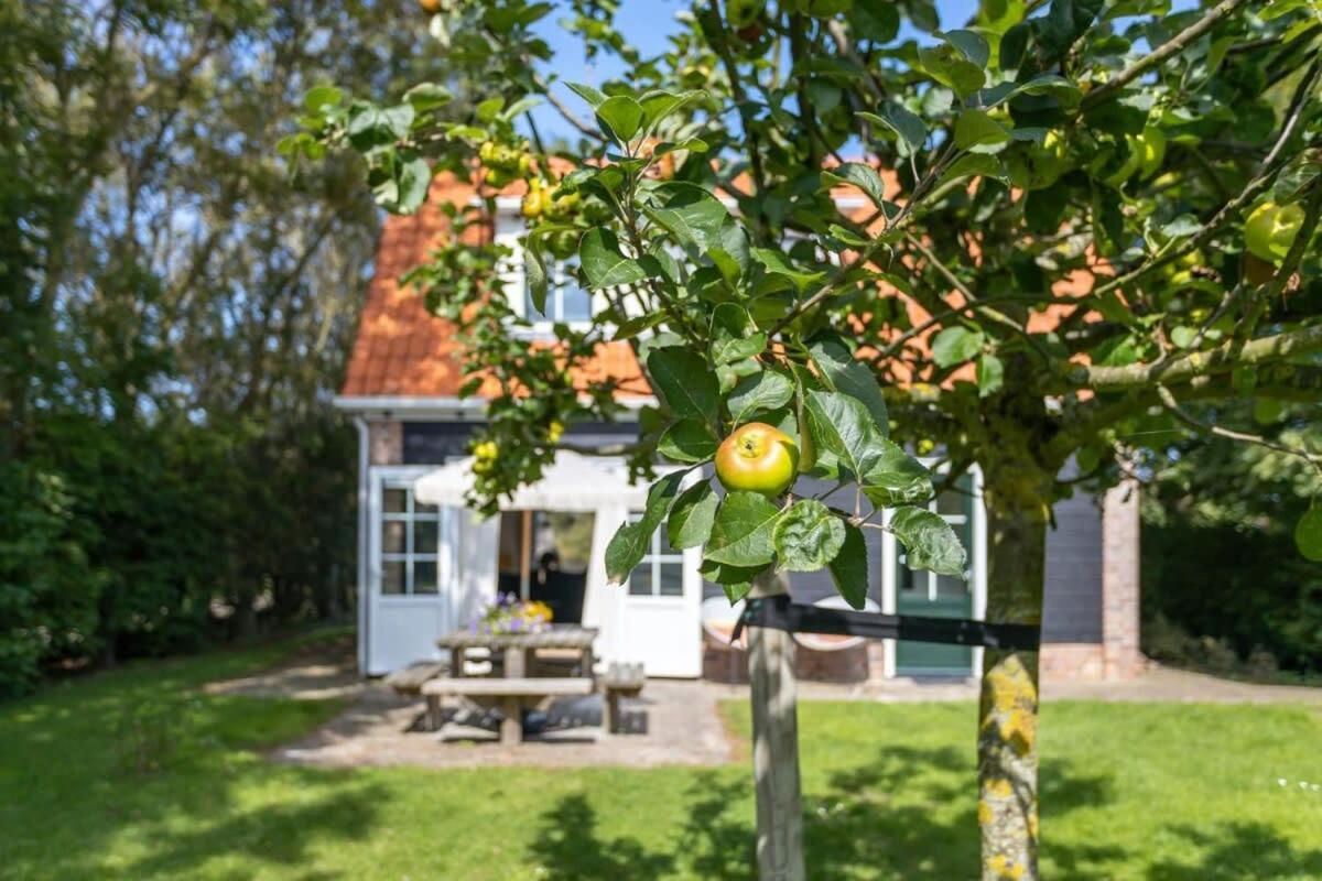 Het Kleine Huis At Buitenplaats Zeeuwse Liefde Westkapelle Exterior photo